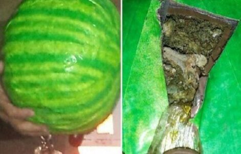 Marihuana w arbuzach