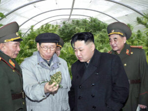 Kim Dzong Un patrzy na zioło