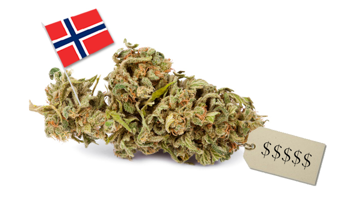 cena trawy w Norwegii