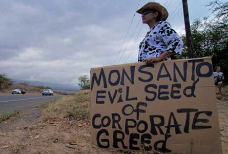 protest przeciwko Monsanto