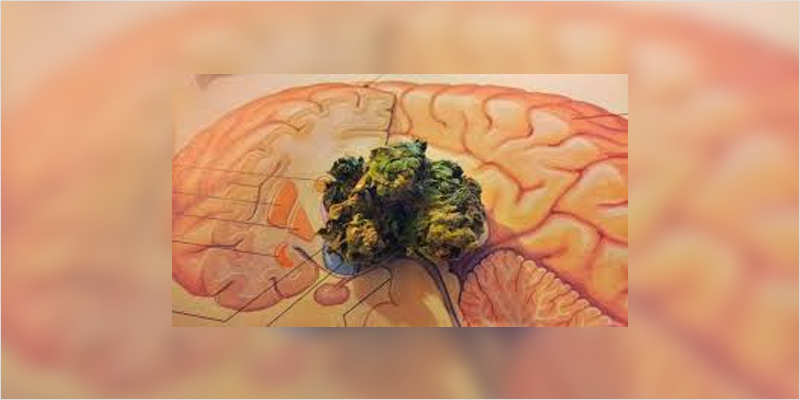 choroba_parkinsona.jpg