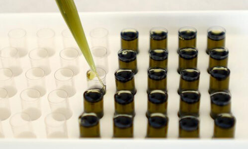 cannabidol-499x300.jpg