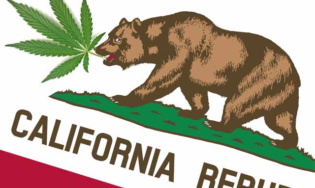 legalizacja marihuany w kaliforni