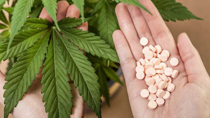 marihuana medyczna a leki na bazie opioidów