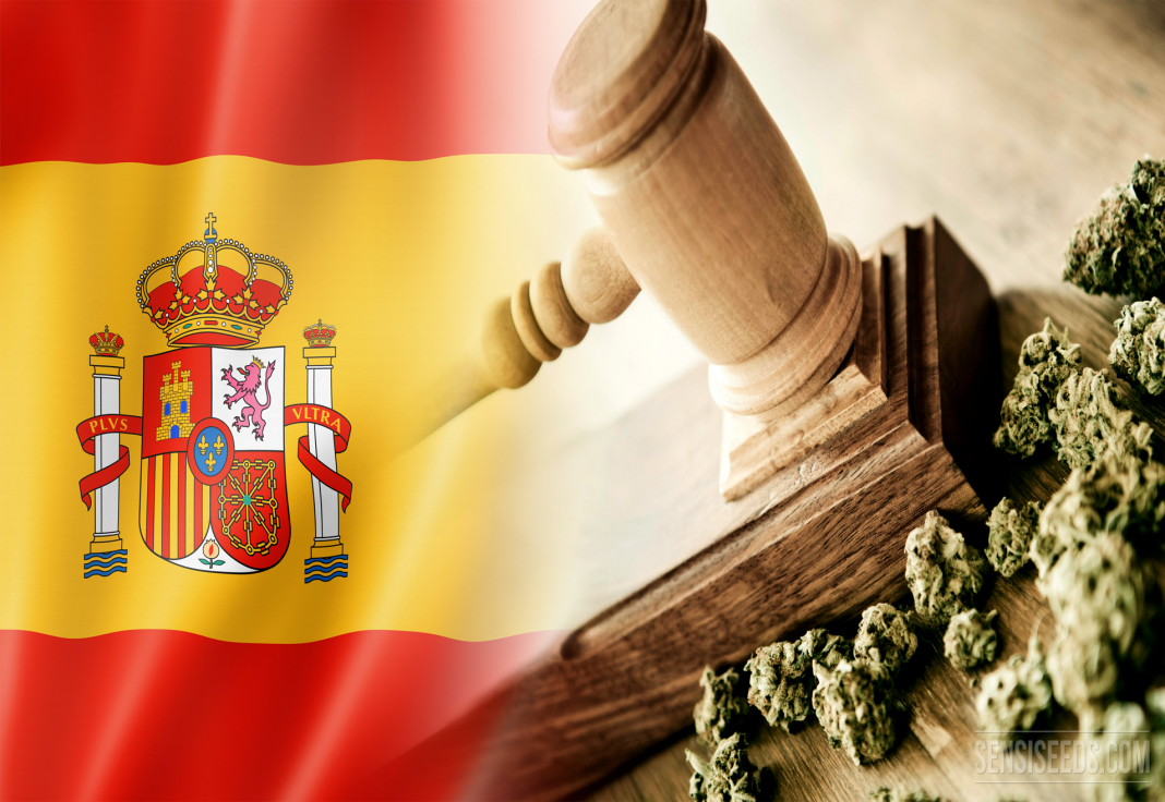Kluby konopne w hiszpanii nielegalne