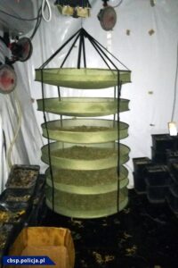 cbśp hiszpańska policja marihuana 10kg