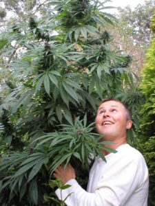 czlowiek ktory zmienil nazwisko na wolne konopie Glastonbury