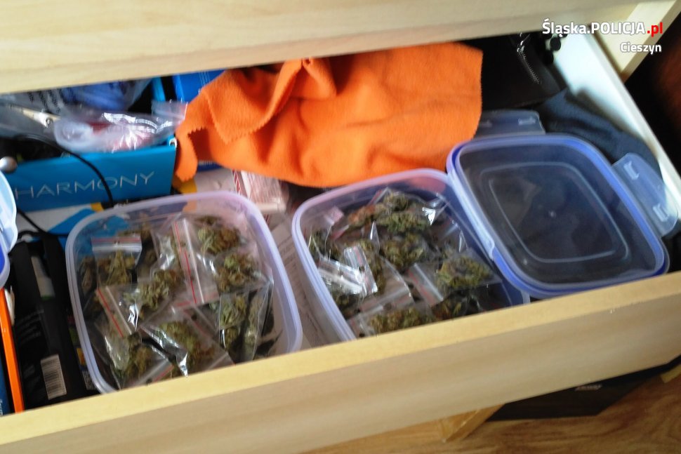 cieszyńska policja zlikwidowała uprawę marihuany w szafie