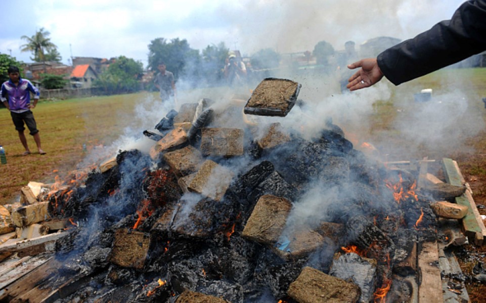 Komisyjne spalenie 3 ton marihuany. Miasteczko zostało ujarane. Indonezja