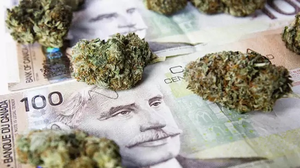 Kanada zarobiła 1100 mln USD na legalizacji marihuany