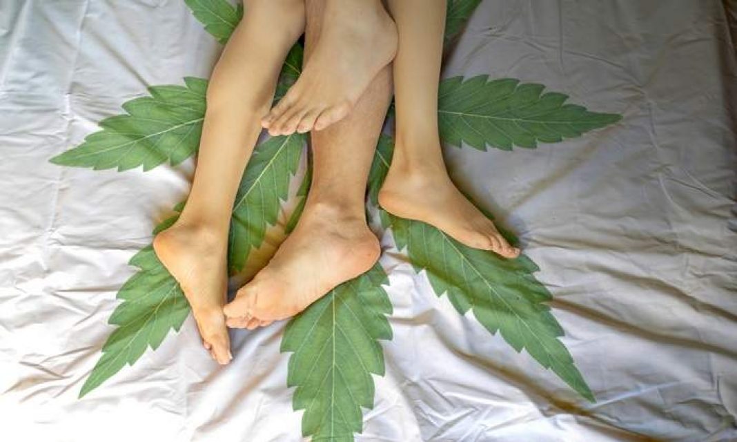 Większy popęd, wrażliwość na dotyk i jeszcze większa satysfakcja seksualna to efekty uprawiania seksu po marihuanie. Potwierdzają je badania przeprowadzone przez naukowców z Uniwersytetu British Columbia i nie tylko. Badania, którym naprawdę warto się bliżej przyjrzeć.