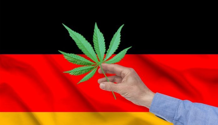 Nowa koalicja rządząca i nowy rozdział dla konopi indyjskich w Niemczech. Już wiadomo, że marihuana u naszych zachodnich sąsiadów będzie zalegalizowana. Porozumienie w tej sprawie wypracowali liderzy nowej koalicji rządzącej.
