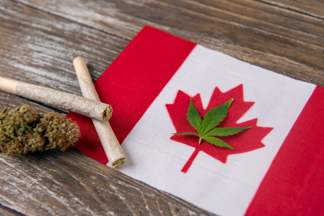 Jak wiadomo co kraj to obyczaj i do szczepień na COVID-19 można zachęcać, a nawet zmuszać. W Kanadzie postawiono na metodę kija i marchewki wprowadzając nietypowe obostrzenie. Niezaszczepieni mieszkańcy prowincji Quebecu od 18 stycznia nie będą mogli kupić marihuany ani alkoholu.